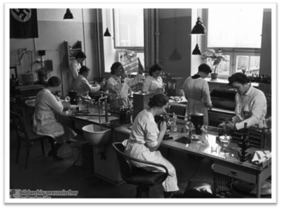 Laboratory workers at the Institute for Hygiene in Hamburg, Germany, in 1937